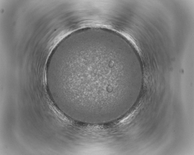 X0000086970887200704231513