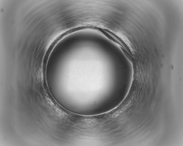 X0000086970888200704231513