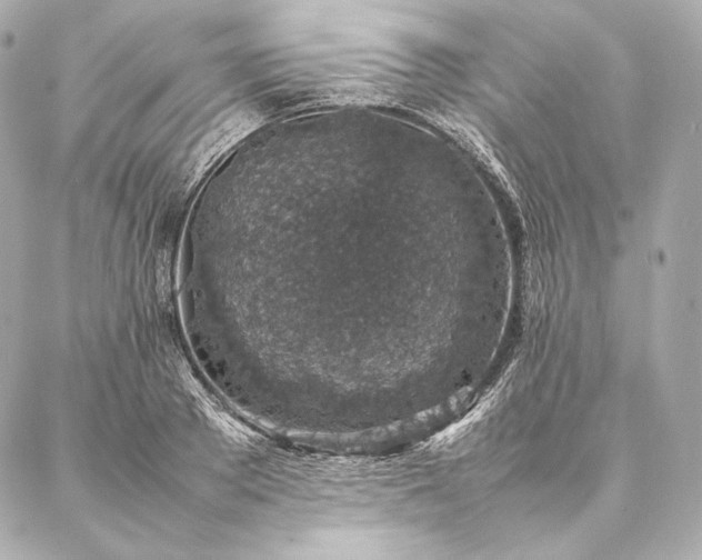 X0000086970889200704231513