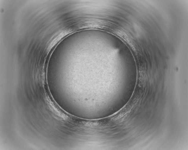 X0000086970890200704231513