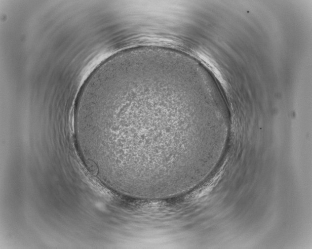 X0000086970891200704231513