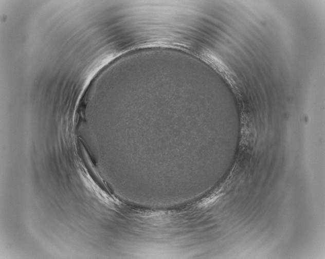 X0000086970892200704231513