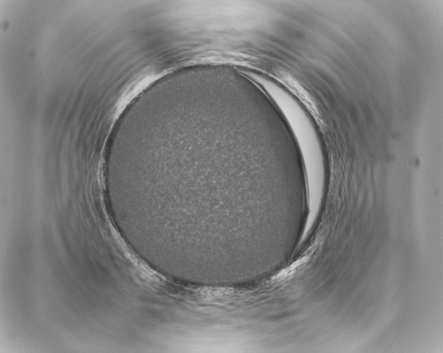 X0000086970893200704231513