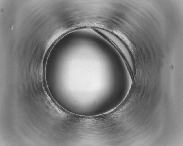 X0000086970894200704231512