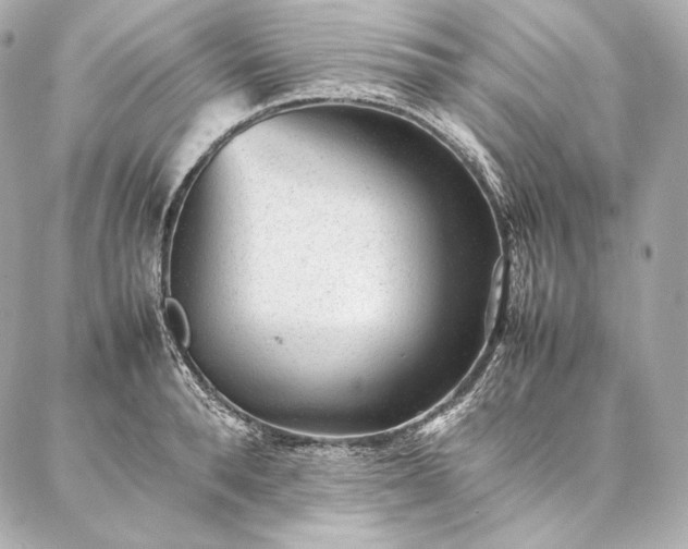 X0000086970896200704231512