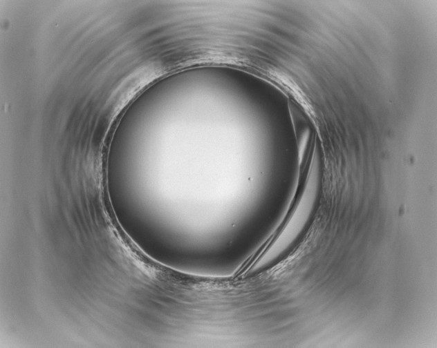 X0000086970898200704231512