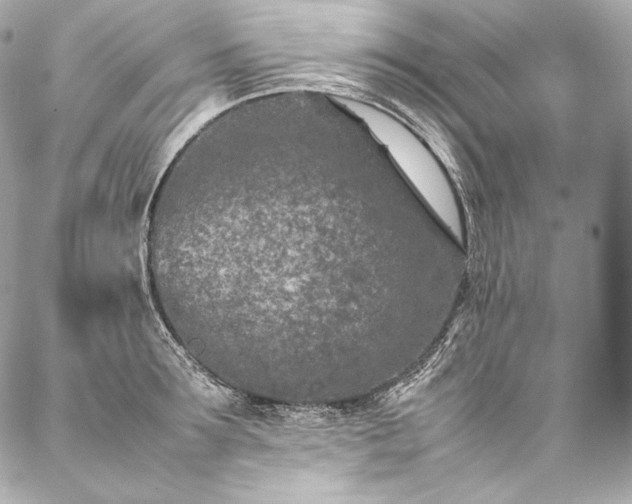 X0000086970899200704231512