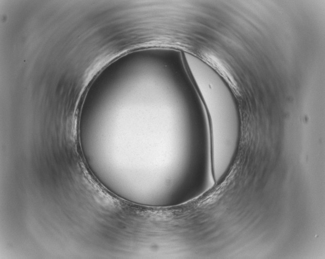 X0000086970900200704231512