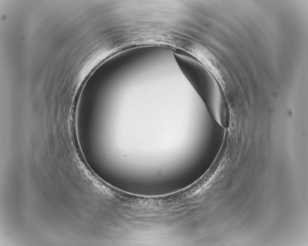 X0000086970901200704231512