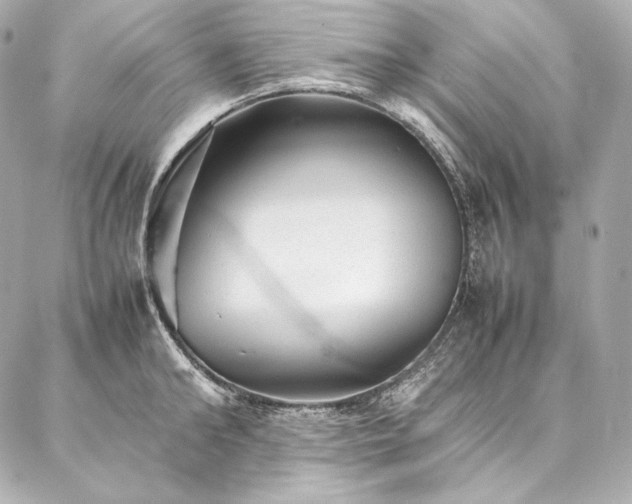 X0000086970902200704231512