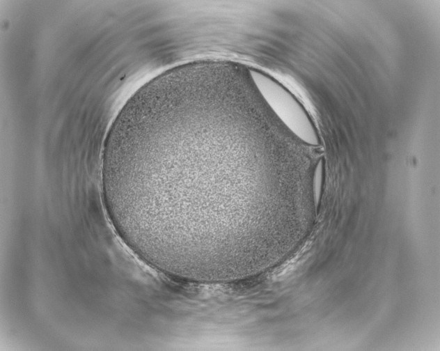 X0000086970903200704231512