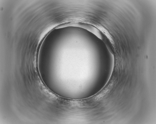 X0000086970904200704231512