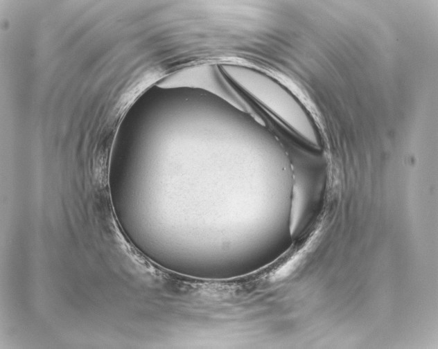 X0000086970905200704231512