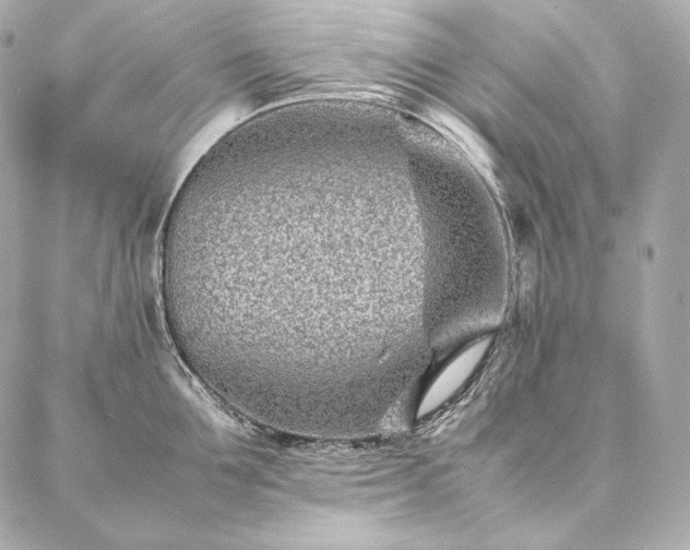 X0000086970907200704231512