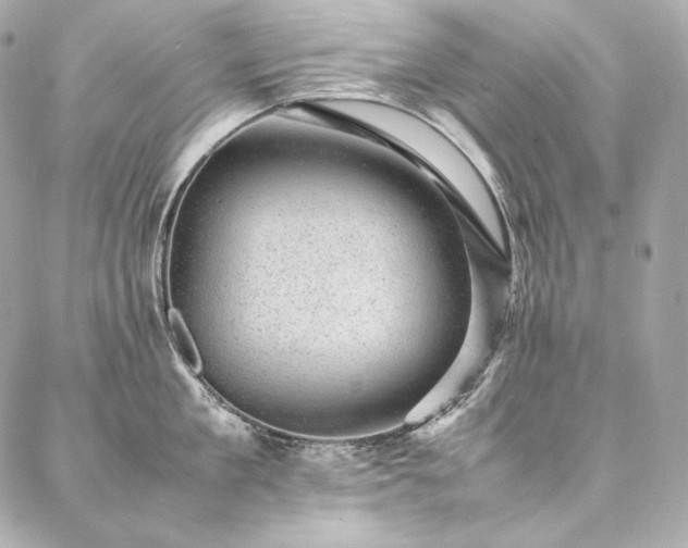 X0000086970909200704231512