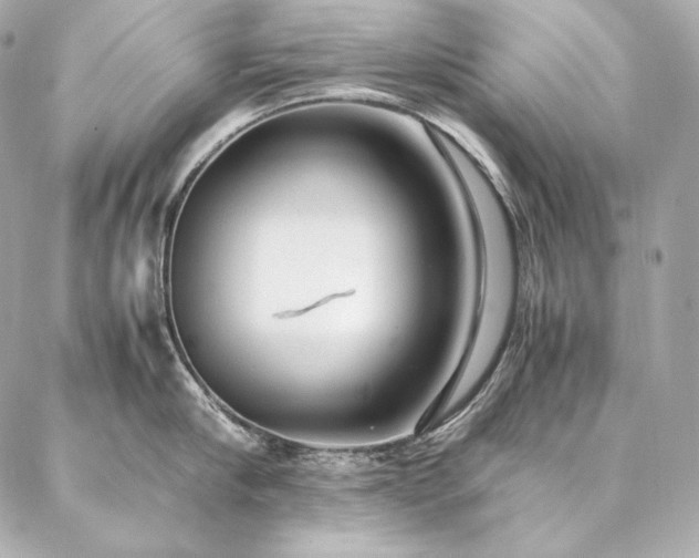 X0000086970910200704231512