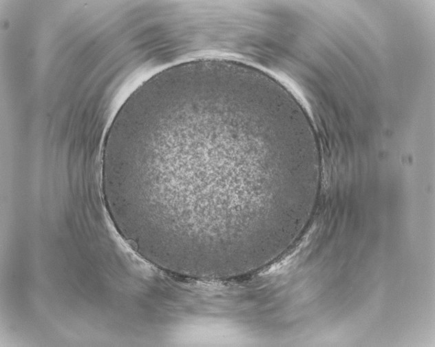 X0000086970911200704231512