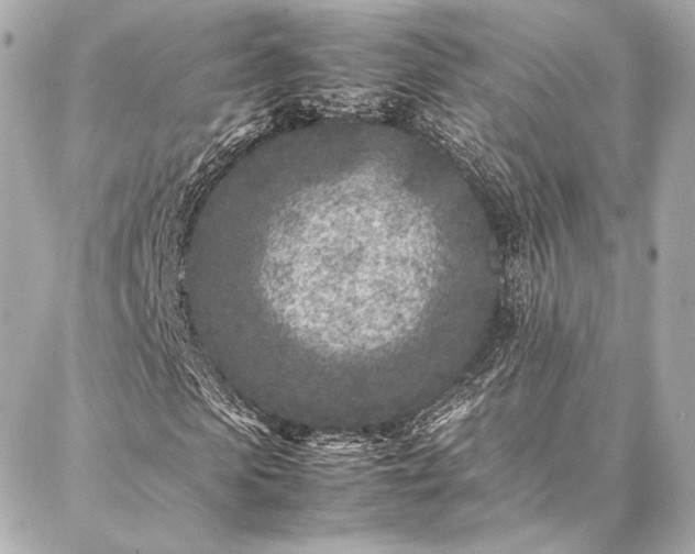 X0000086970913200704231511