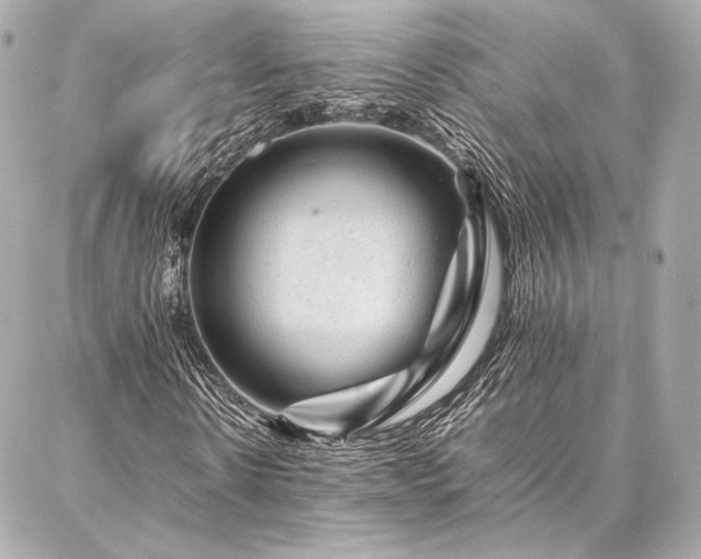 X0000086970914200704231511