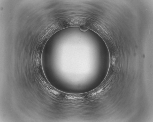 X0000086970915200704231511