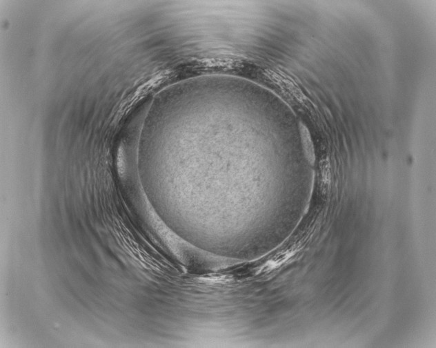 X0000086970916200704231511