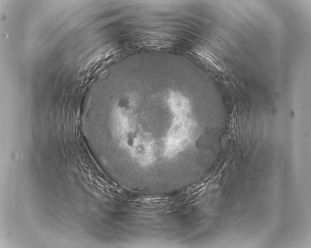 X0000086970917200704231511