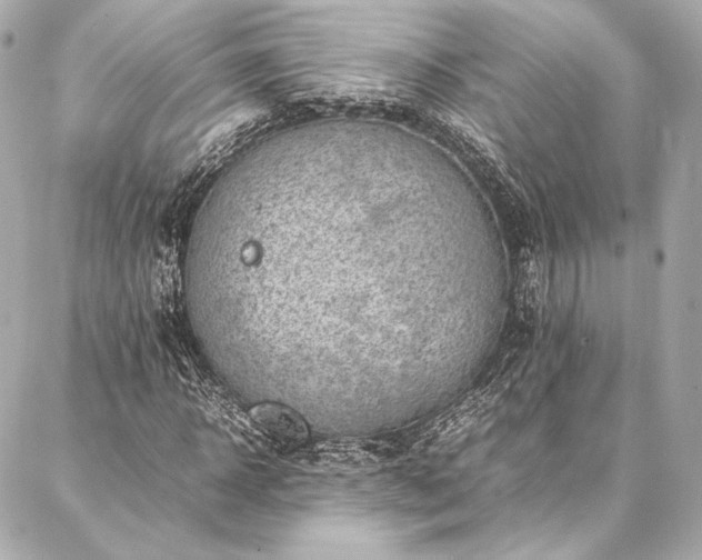 X0000086970918200704231511