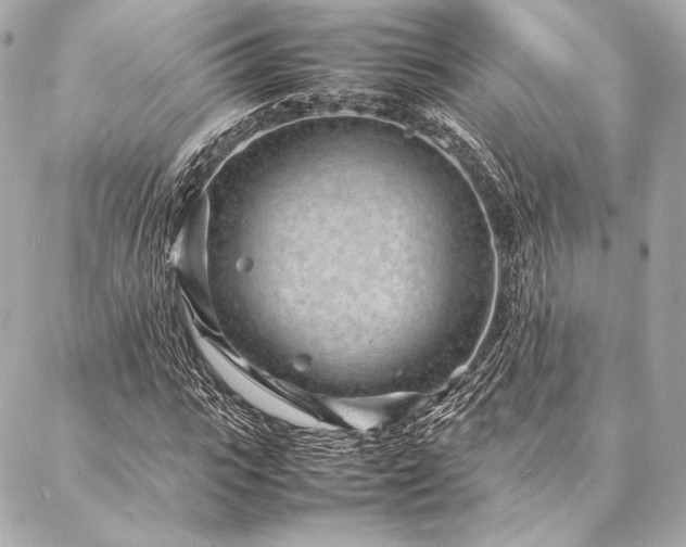 X0000086970919200704231512