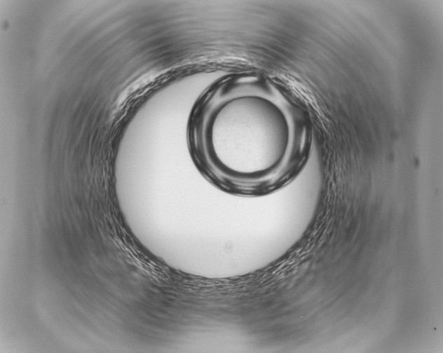 X0000086970920200704231512