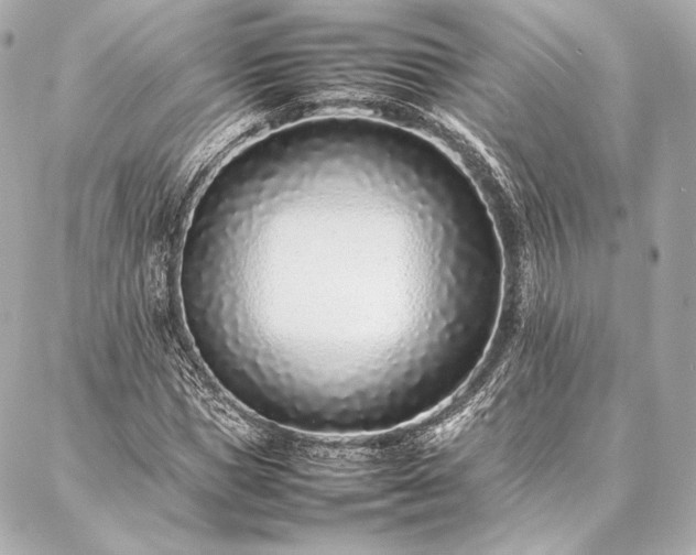 X0000086970921200704231512