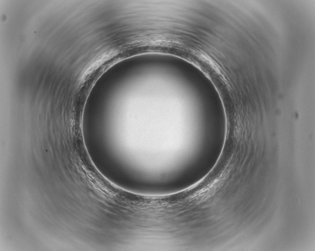 X0000086970922200704231512