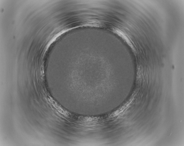 X0000086970923200704231512