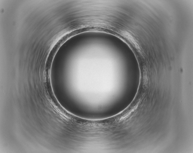 X0000086970924200704231512