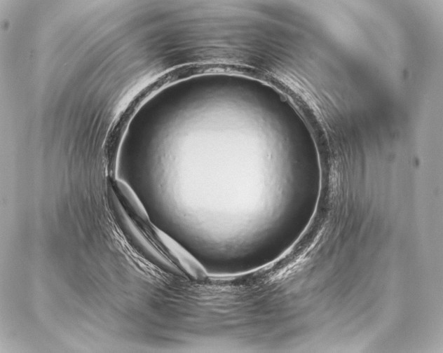 X0000086970925200704231512