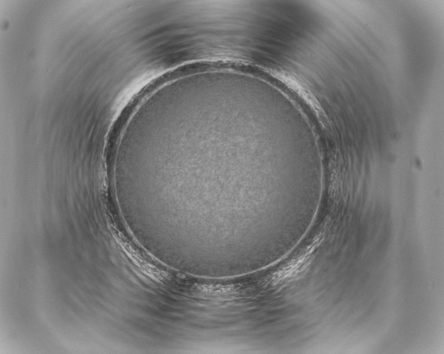 X0000086970927200704231512