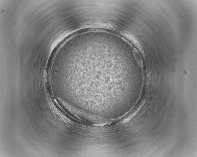 X0000086970928200704231512