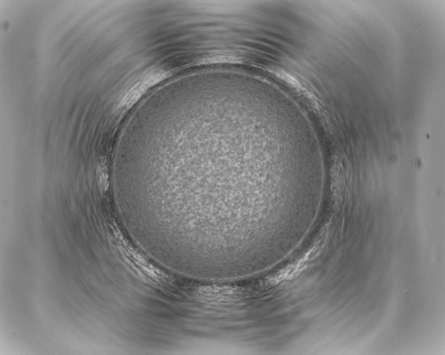 X0000086970929200704231512