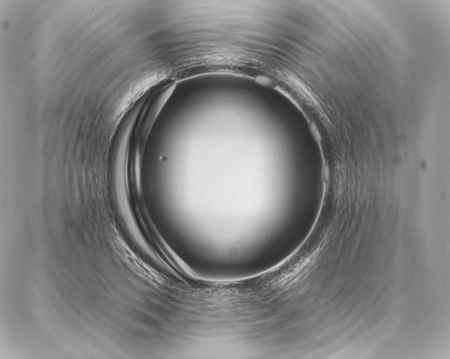 X0000086970930200704231512