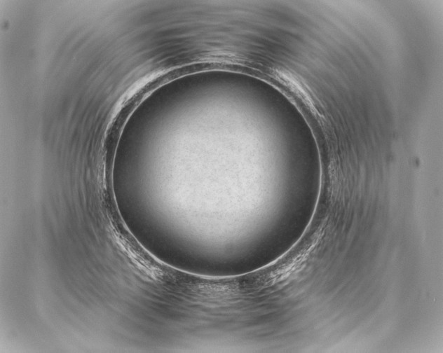 X0000086970931200704231512