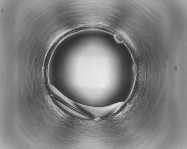 X0000086970932200704231512