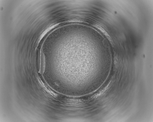 X0000086970933200704231512