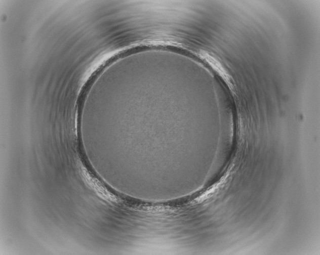 X0000086970934200704231512