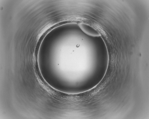 X0000086970936200704231512