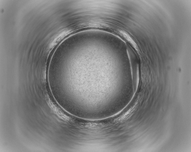 X0000086970938200704231512