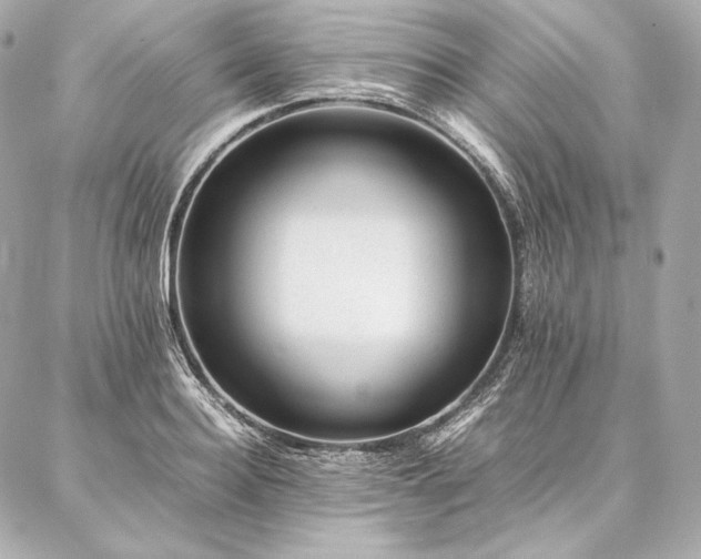 X0000086970940200704231512