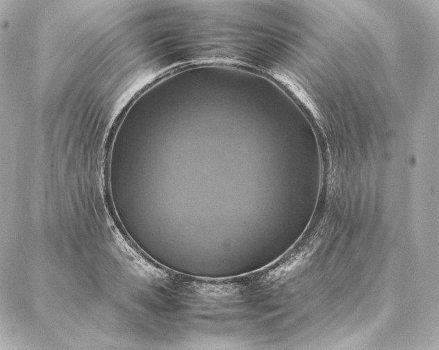 X0000086970941200704231512