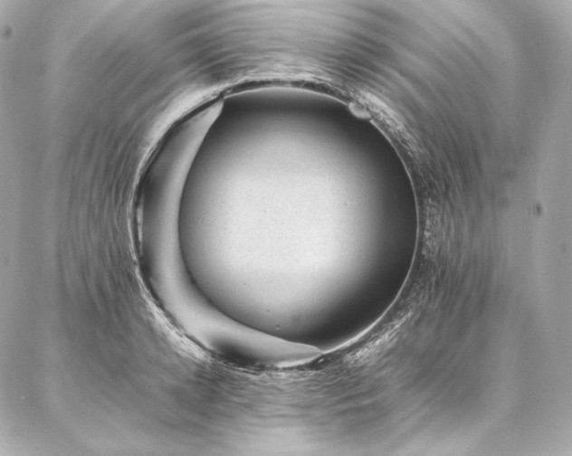 X0000086970942200704231512