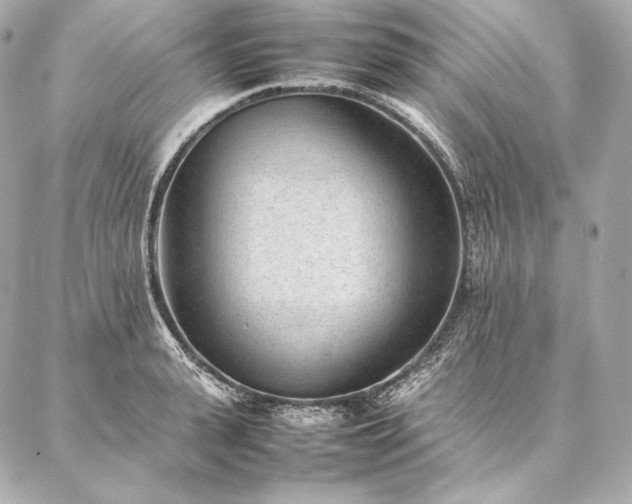 X0000086970943200704231512