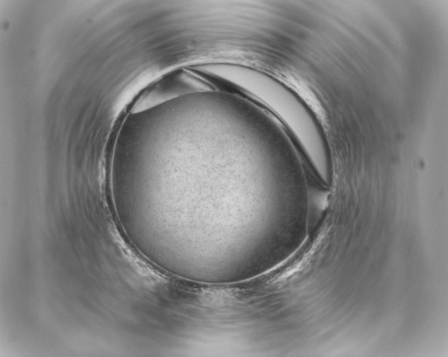 X0000086970944200704231512