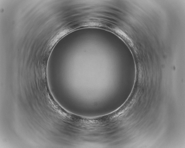 X0000086970945200704231512